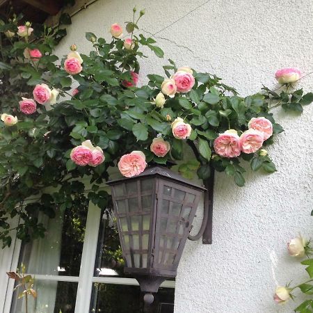 Villa Le Petit Val Rose à Villennes-sur-Seine Extérieur photo