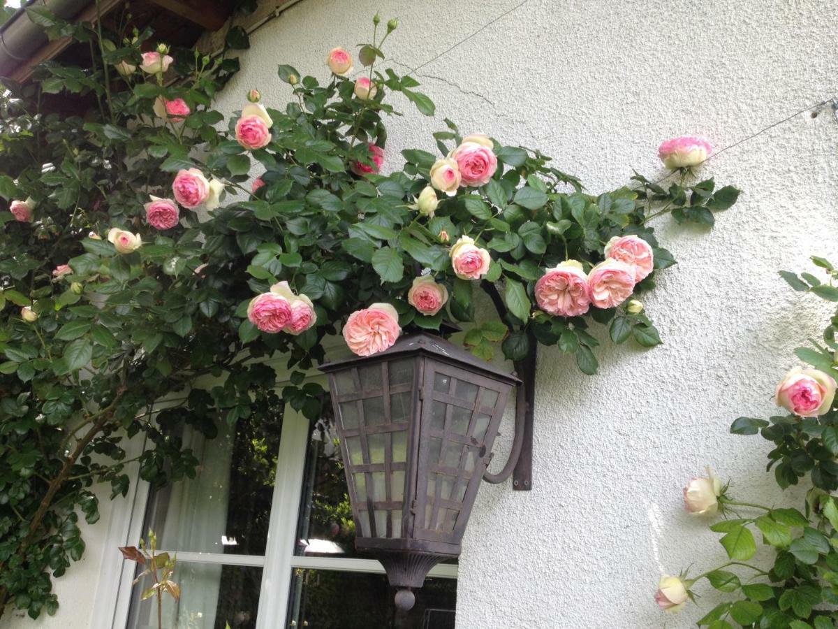 Villa Le Petit Val Rose à Villennes-sur-Seine Extérieur photo